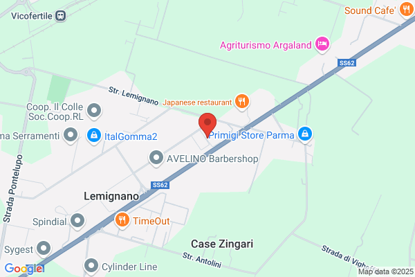 Zanelli ugo