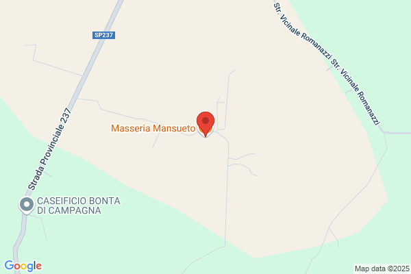 Mansueto francesco