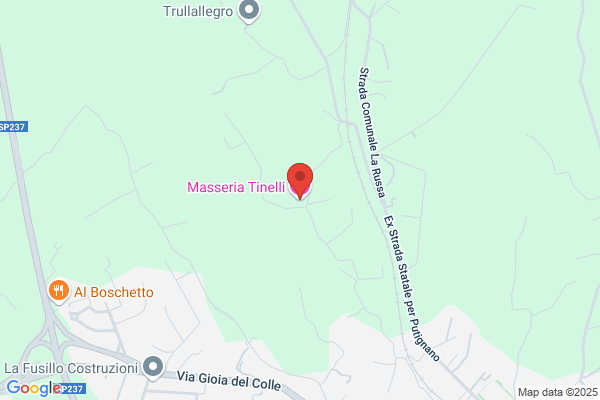 Tinelli rocca Maria