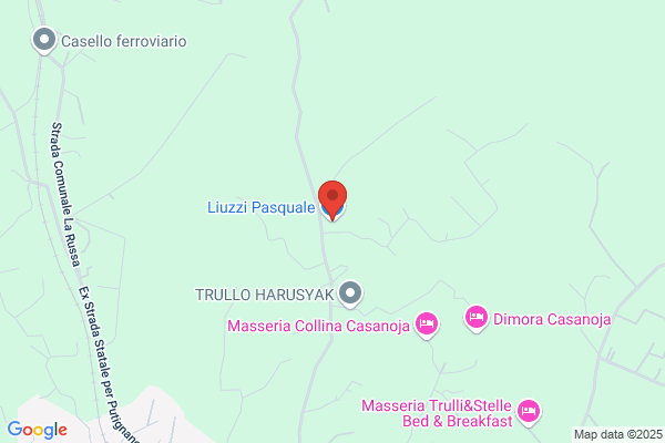 Liuzzi Pasquale & C. S.A.S.
