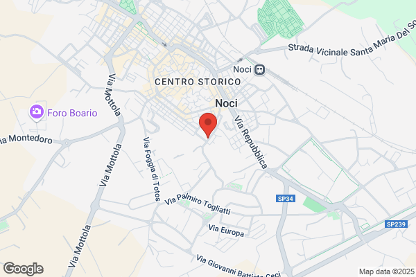 R.R. Puglia S.R.L.