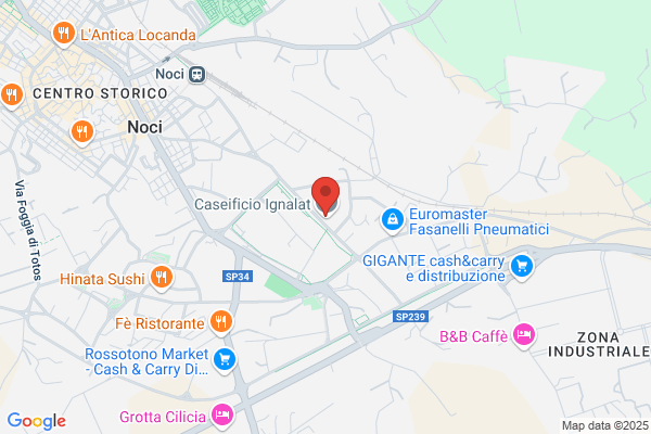C.A.M. Consorzio Autotrasportatori Meridionali