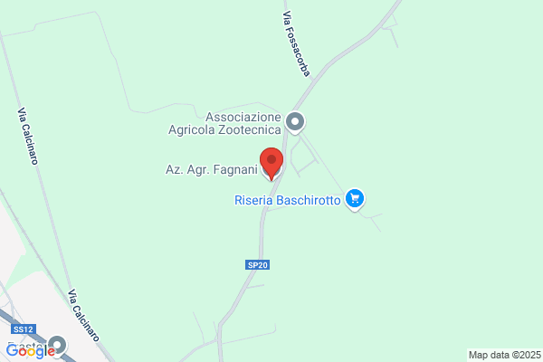 Fagnani Renzo