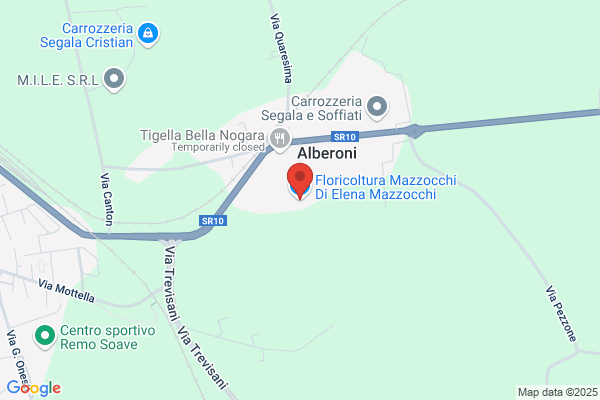 Mazzocchi angelo