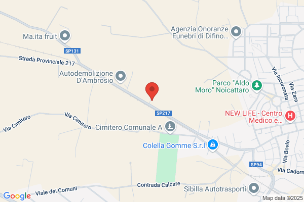 Vegliante domenico