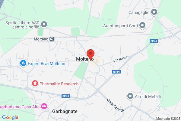 Napolitano michele