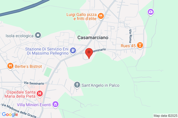 Mascolo anna