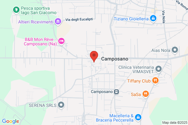 A.S.D.Sporting Camposano 2021