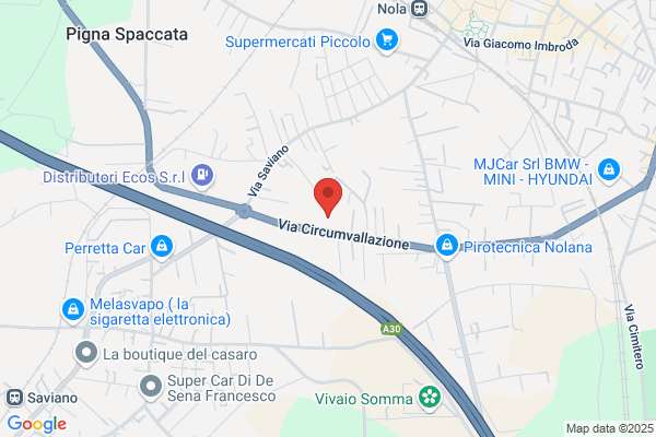 Il Papiro Di Lo Savio Rosario