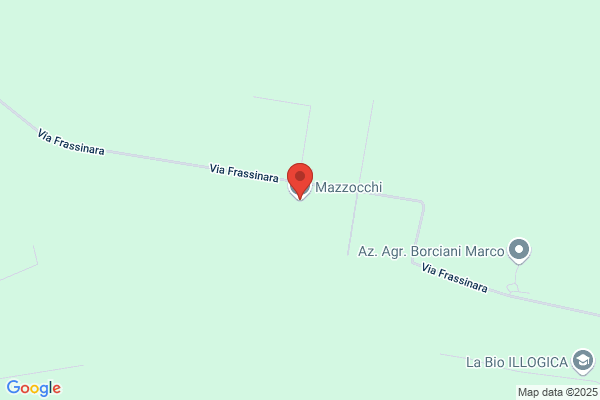 Mazzocca giovanni