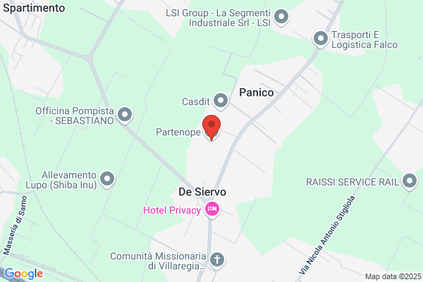 Partenope S.R.L.