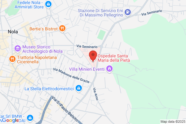 Ospedale Generale Di Zona S.Maria Della Pieta - azienda Sanitaria /// (Locale n