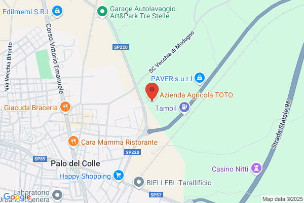 Toto vincenzo
