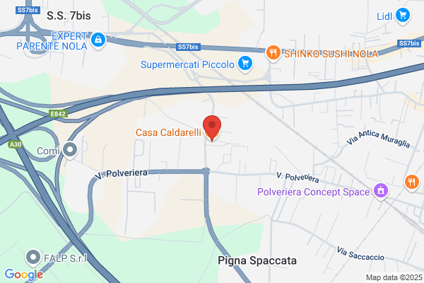 Caldarelli angelo