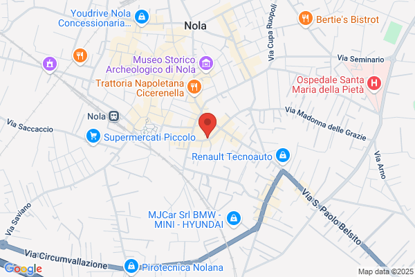 Istituto De Sanctis S.R.L.