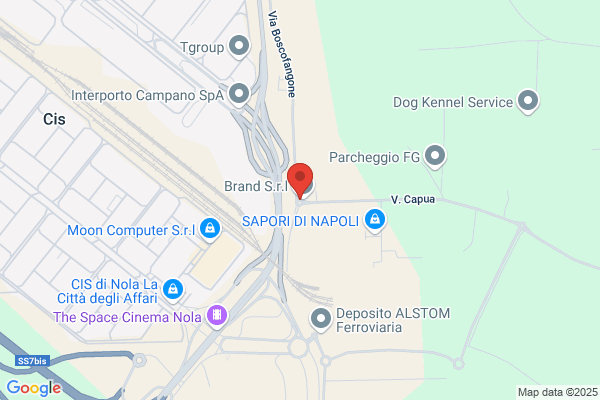 T.A.D.A.M. Di Alfieri E C.