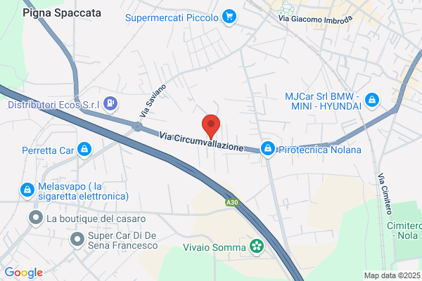 Tortora clementina