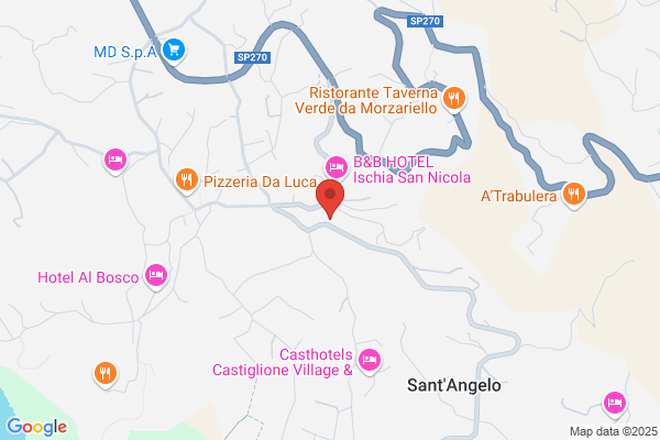 La Ginestra