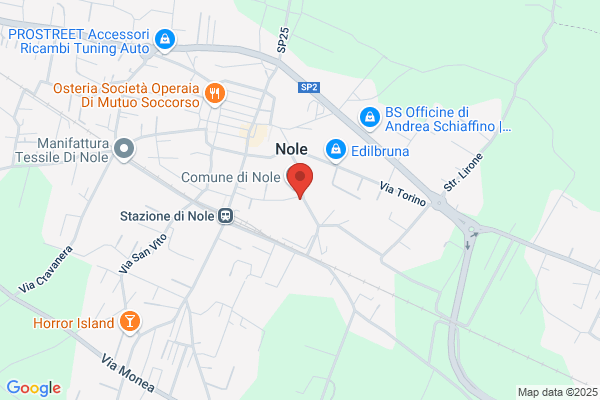 Patella peppino