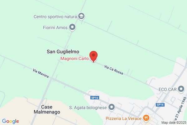 Magnoni carlo