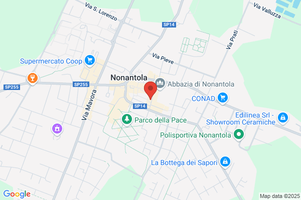 Fontanesi Silvano