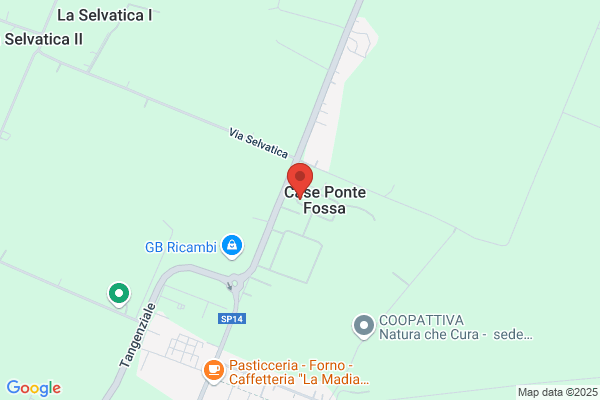 Borsari E. E C. Srl