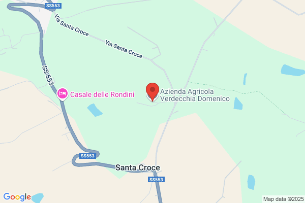 Franchi Domenico