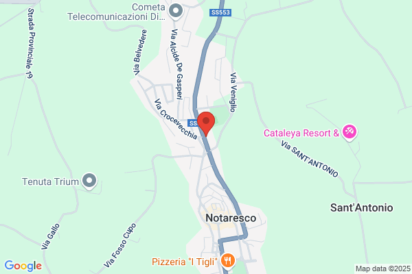 Max'e Pizza e Basi Pizza