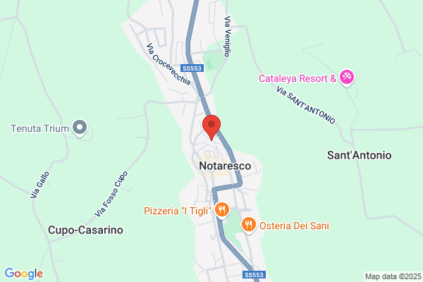 Supermercato Conad F.Lli Natalini S.R.L.