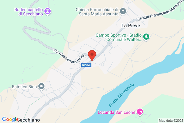 Palmi ferdinando (Geom.)