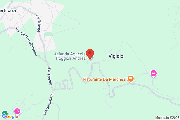 Poggioli gabriella