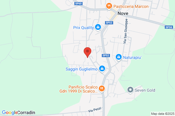 Pedemontana Patrimonio e Servizi
