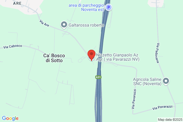 Mojsovski sasko
