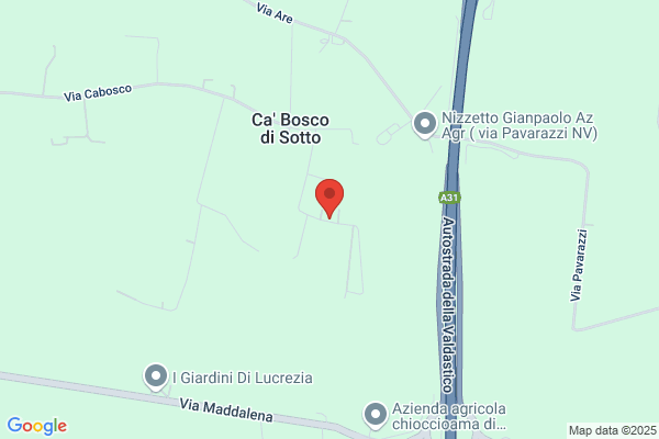 Tosetto enzo