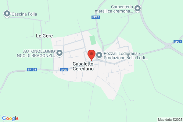 Il Pollice Verde Di Anselmi Paola