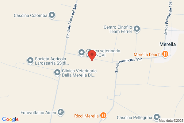 Il Pollice Verde Di Anselmi Paola