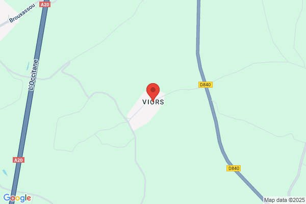 Vi.Or. Sas