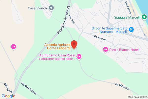 Conte Leopardi Dittajuti