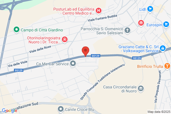 Iriss Ist. Ricerche Inform. Studi Serv. Di graziella monni
