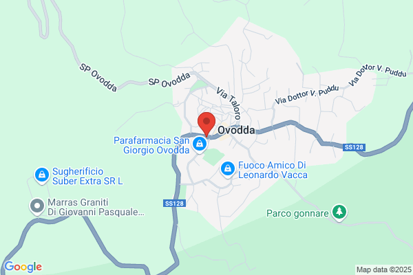 Puddu aldo (Ing.)
