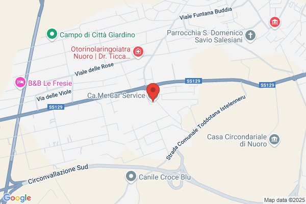 Lautomeccanica Di Cao Francesco