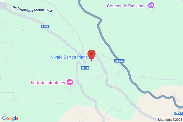Vivaio Bertos Plant