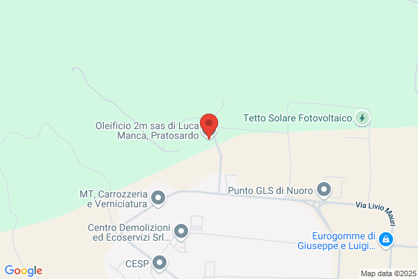 Elaiopolio Consorziale Nuorese