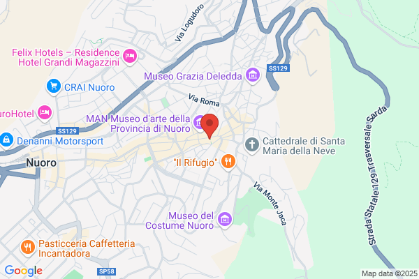 Istituto Vittorio Alfieri Srl