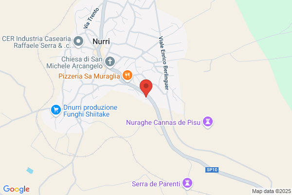 Frigomacello Nurri Srl