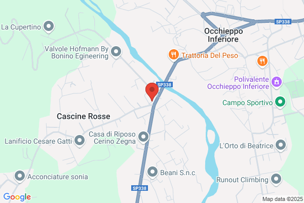 Mina domenico