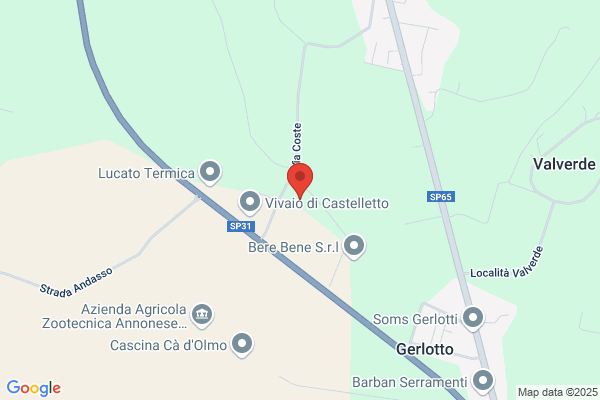 Perugia Servizi
