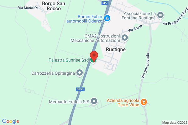 Ninotti siro