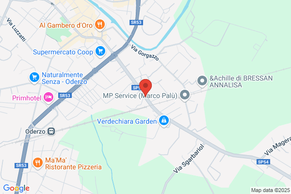 Trevisauto (S.P.A.)