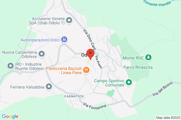 Odolese Spedizioni S.R.L.